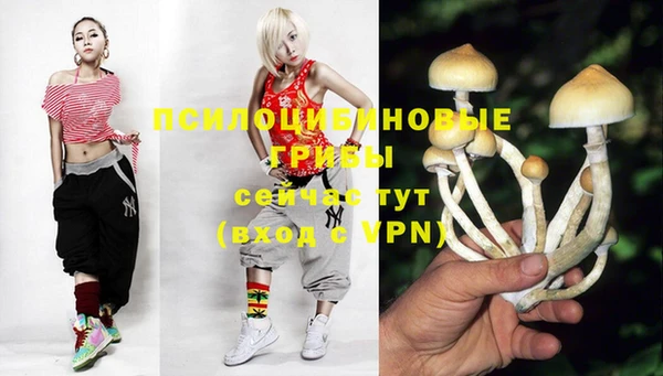 спиды Верея