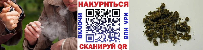 Бошки Шишки семена  ссылка на мегу как зайти  площадка наркотические препараты  купить наркоту  Ирбит 